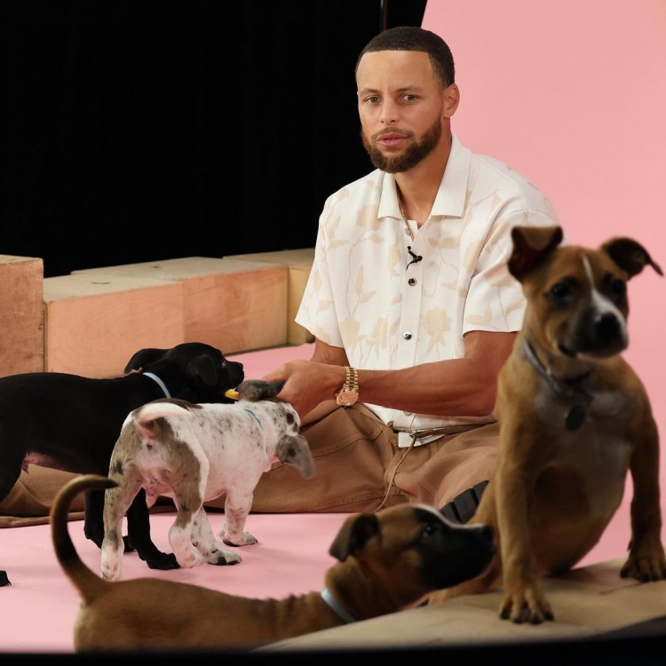 Pink and tenderCurry: Thank you for inviting me to participate in the dog interview. We had an extraordinary time.